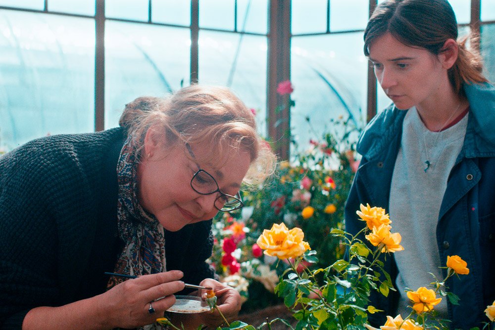 The Rose Maker
